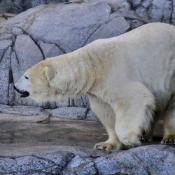 GoldCoast_WildlifeParks_IMG_5305