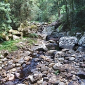 SprinbrookNationalParknearNaturalBridge_DSC05986