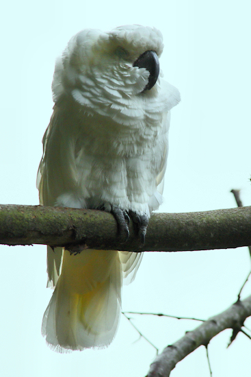 Wildlife Park