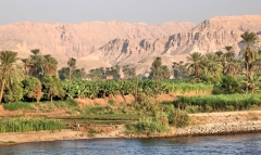 Nile River bank near Aswan, showing narrow irrigated strip giving way quickly to desert