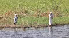 Nile River bank near Aswan, fishers
