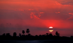 Nile River bank near Aswan, sunset