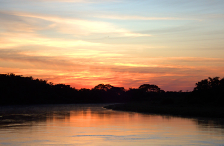 Sunset in the Pantanal