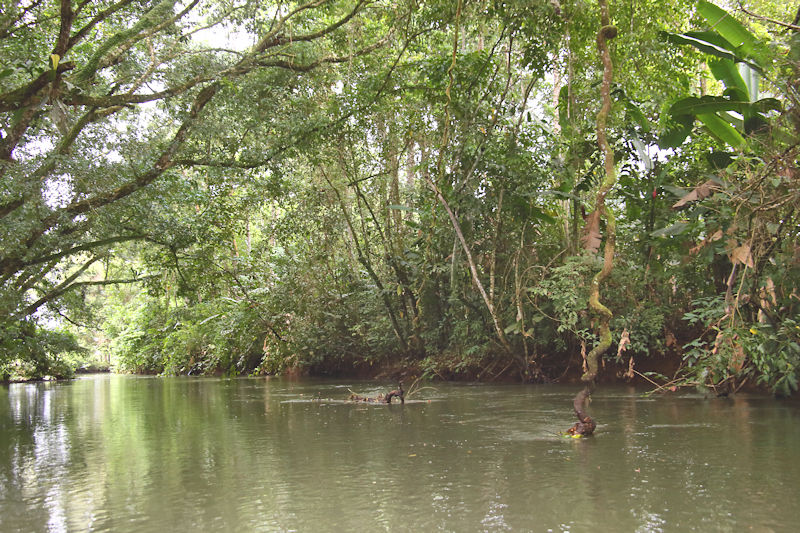 River cruise at Cano Negro, Costa Rica