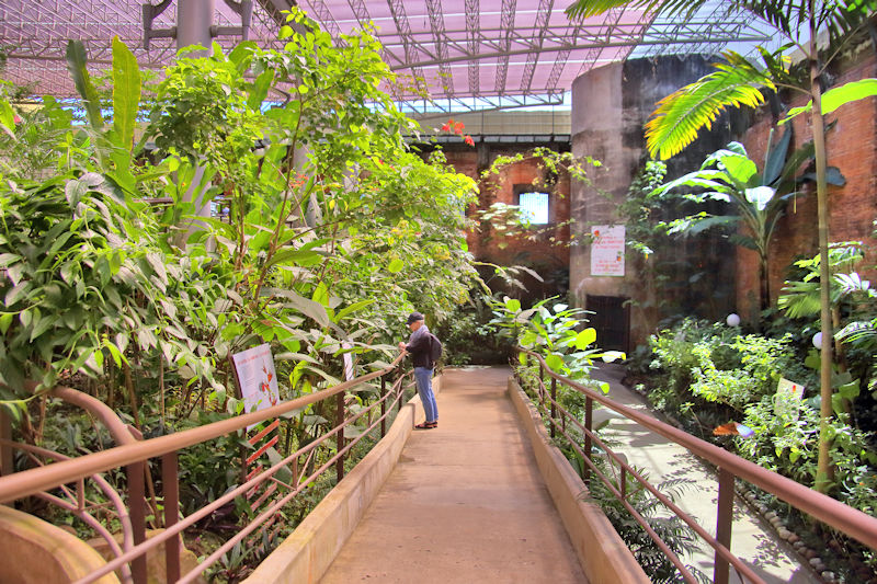 Walk-through Butterfly House, National Museum, Costa Rica