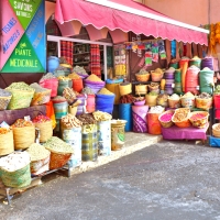 Shops in the Medina of Marrakesh