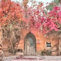 Street scene, Marrakesh