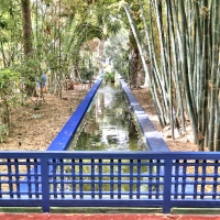 Ive San Laurent Gardens, Marrakesh