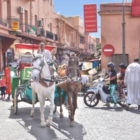 Street scene in the Medina (the old part) of Marrakesh