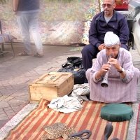 Snake Charmer in the market square, Marrakesh