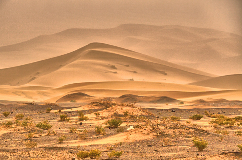 Sahara by Merzouga