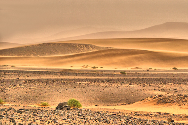 Sahara by Merzouga