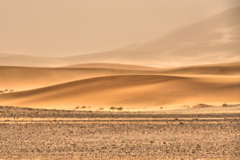 Sahara by Merzouga