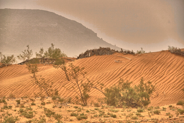 Sahara by Merzouga