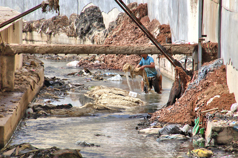 Activity on the River Fes, Fes, Morocco