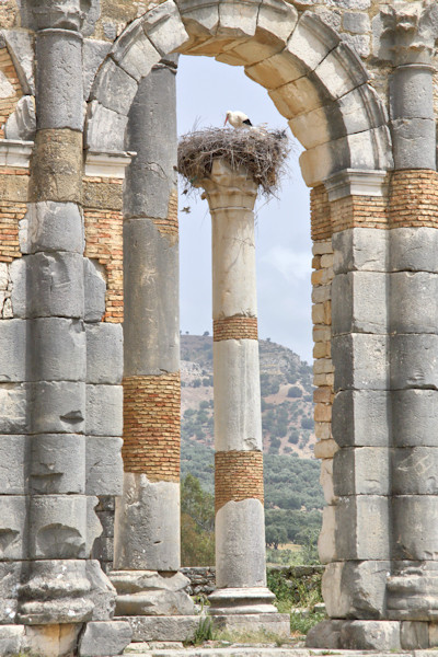 Volubilis, Morocco