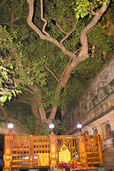 Bodh Gaya