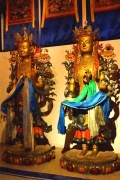 Mongolia_M_Gobi_KarakorumMon_0386_m_600