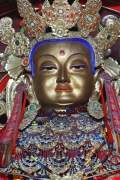 Mongolia_M_Gobi_KarakorumMon_0398_m_600