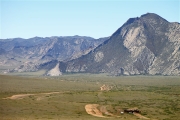 Mongolia_MiddleGobi_2236_m_600