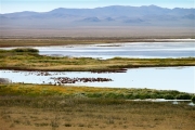 Mongolia_MiddleGobi_ForeignLk_2284_m_600