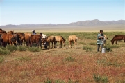 Mongolia_MiddleGobi_Ger_2213_m_600