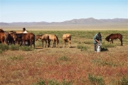 Mongolia_MiddleGobi_Ger_2214_m_600