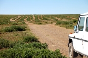 Mongolia_MiddleGobi_Roads_2207_m_600