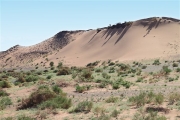 Mongolia_S_Gobi_Dunes_2578_m_600