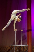 DSC01376_edited_600