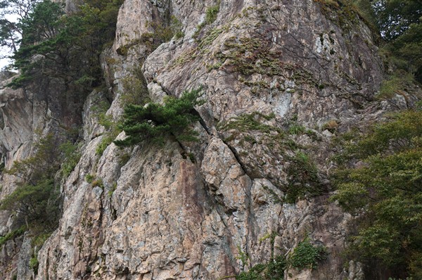 DaedunsanDSC03966.jpg