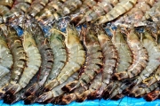 S_Korea_Seoul_FishMarket_3053_3000_m_600_600px