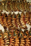 S_Korea_Seoul_FishMarket_3105_3000_m_600_600px