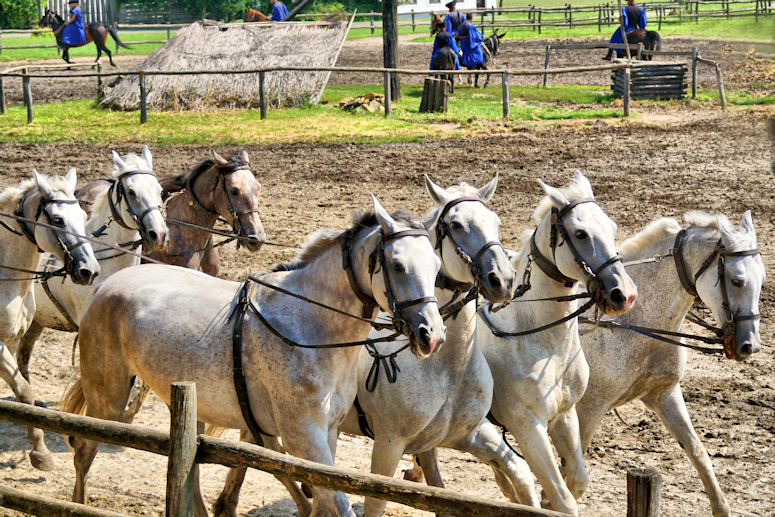 Puszta, Hungary