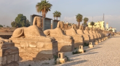 Luxor Temple - Avenue of the Sphinxes, originally coming all the way from Karnak