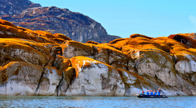 Algae rocks, Seno Iceberg fjord, Chile